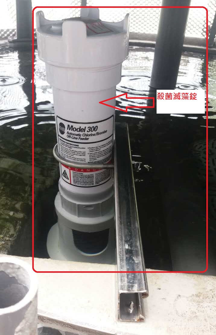 accb85c34fc4a0fd43c9f63e45a2569e.jpg