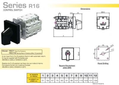 R20 Control Swtch